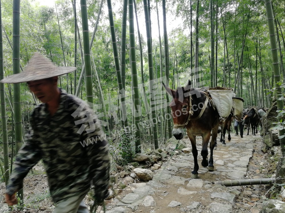 山路弯弯