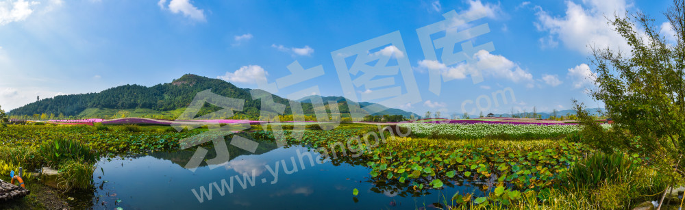 大美径山魅力花海2