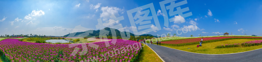 大美径山魅力花海4