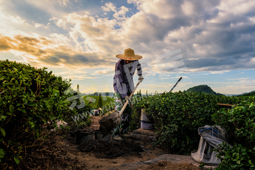 筑梦-小古城的建设者