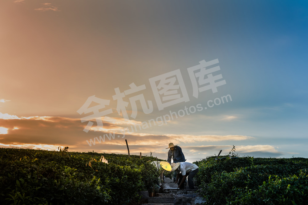 筑梦-小古城的建设者