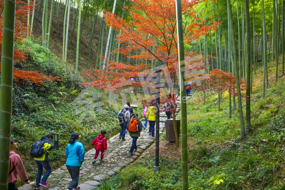 古道悠悠