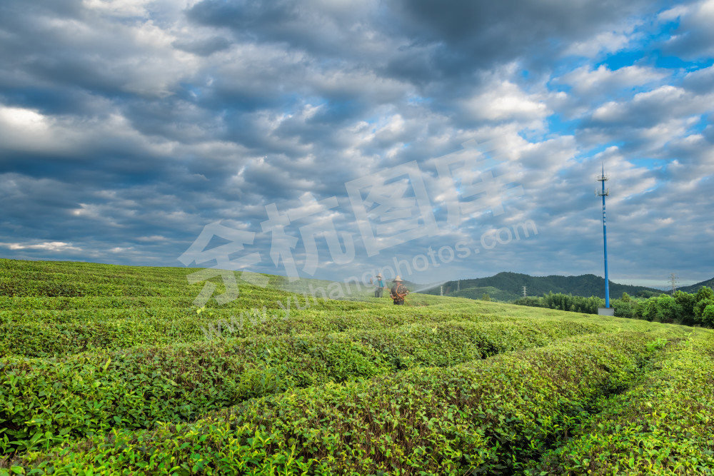 美丽家园-小古城