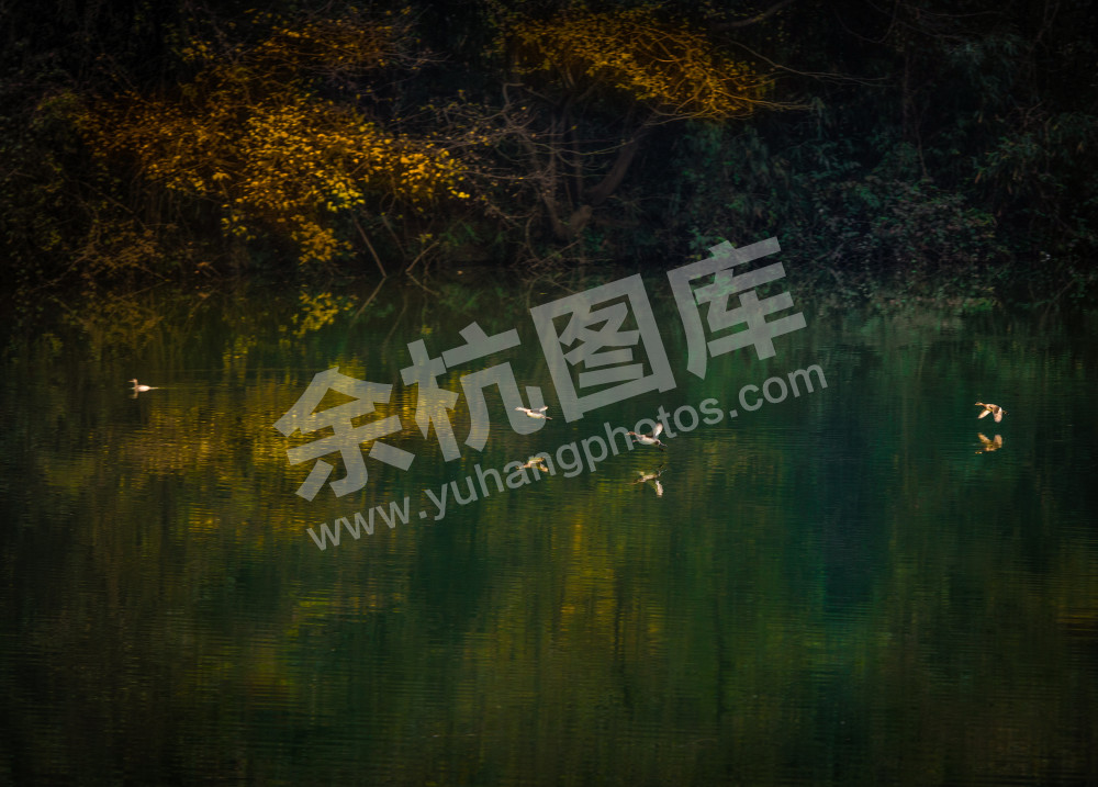 闲林街道孙家坞