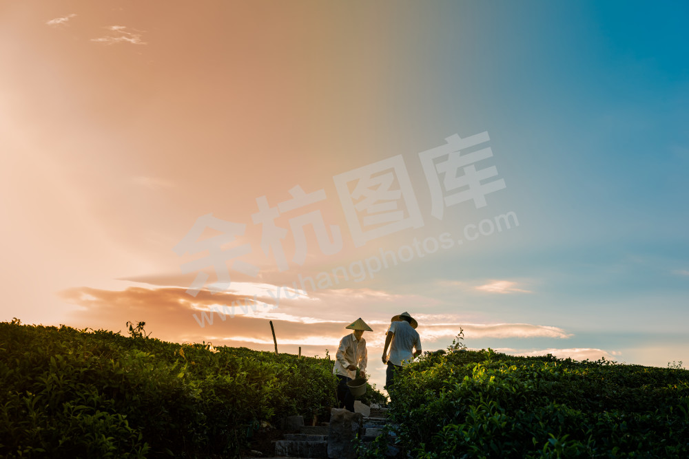 筑梦-小古城的建设者