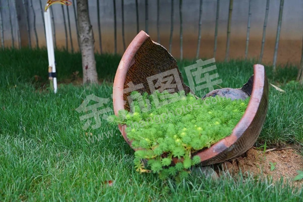 溪上缘舍1号院一角