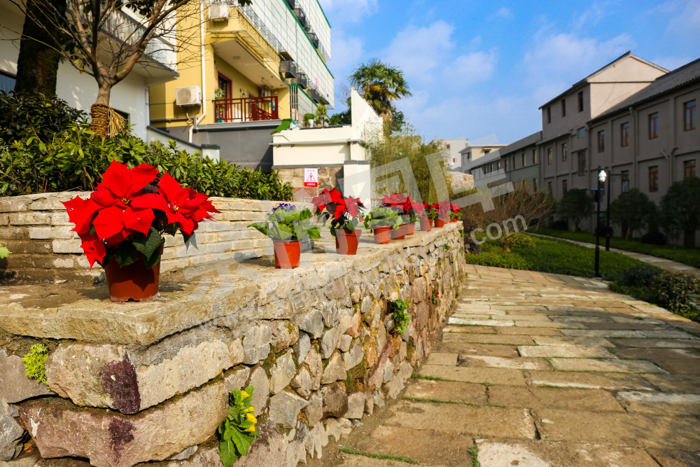 里窑小城镇换新颜