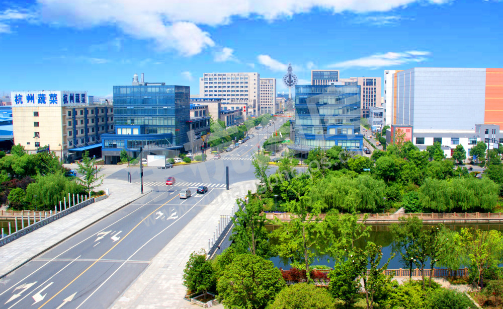 杭州农副产品物流中心2