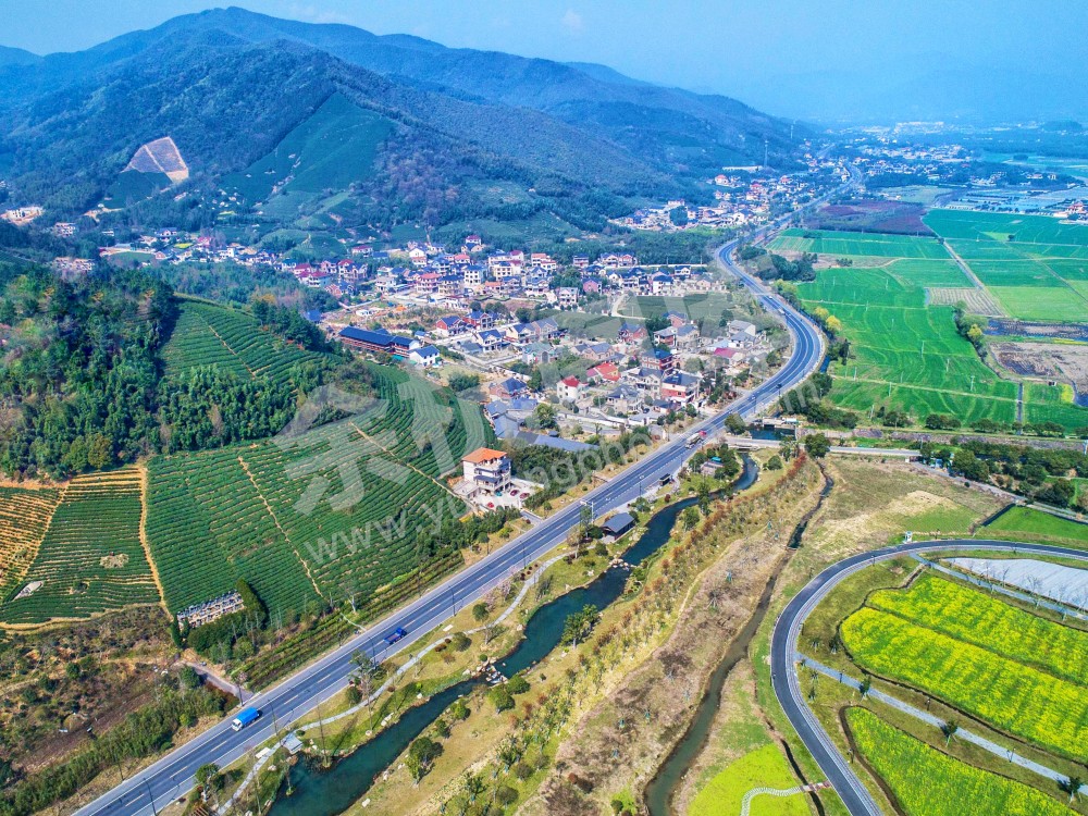 漕雅线3 景观提升