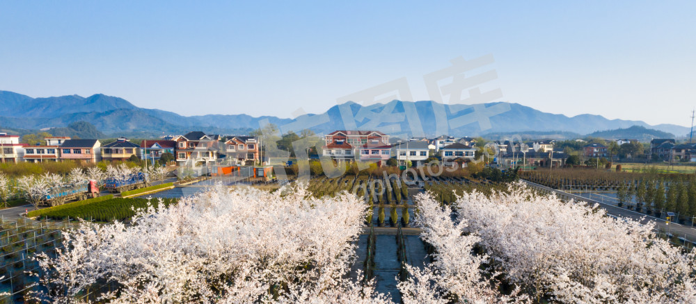 径山镇绿景村美丽乡村