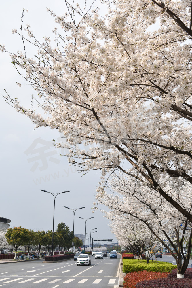 未来科技城良睦路