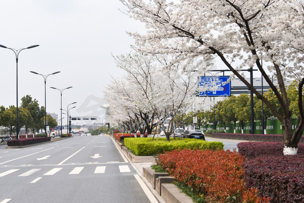 未来科技城良睦路