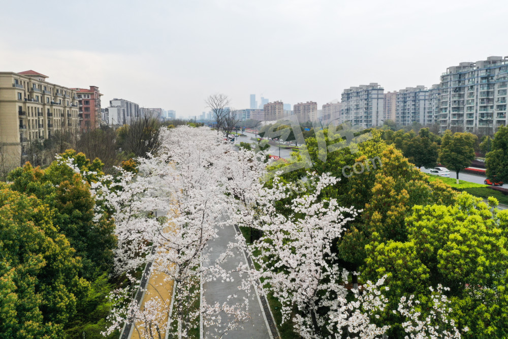 未来科技城文一西路