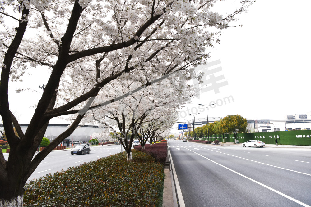 未来科技城良睦路