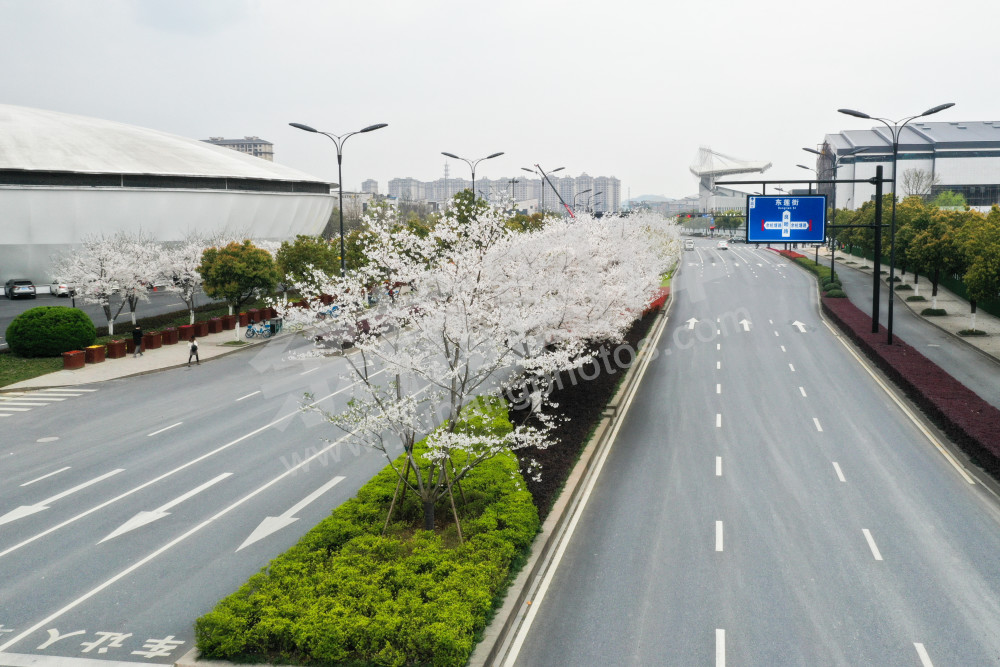 未来科技城良睦路