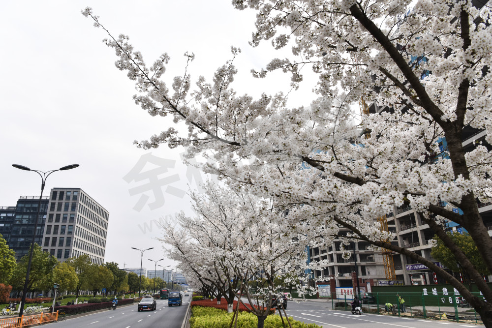 未来科技城良睦路