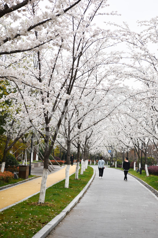未来科技城文一西路