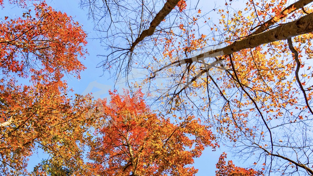 甘岭水库秋色01
