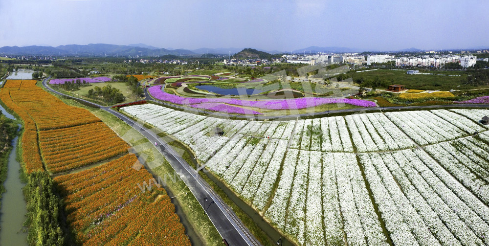 径山花海