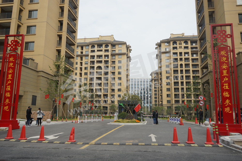 闲林街道草荡苑高层公寓