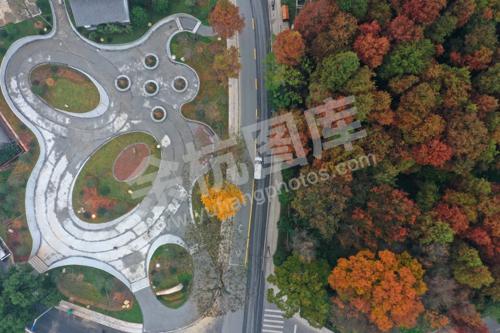 长乐集镇俯瞰图