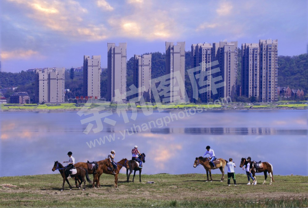 南湖景色