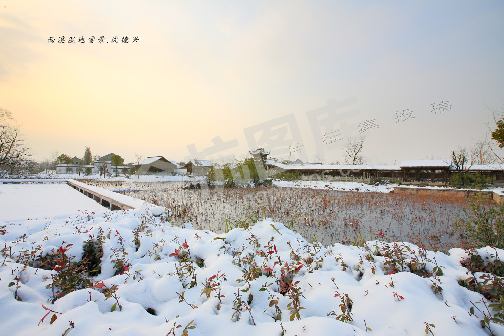 西溪湿地雪景