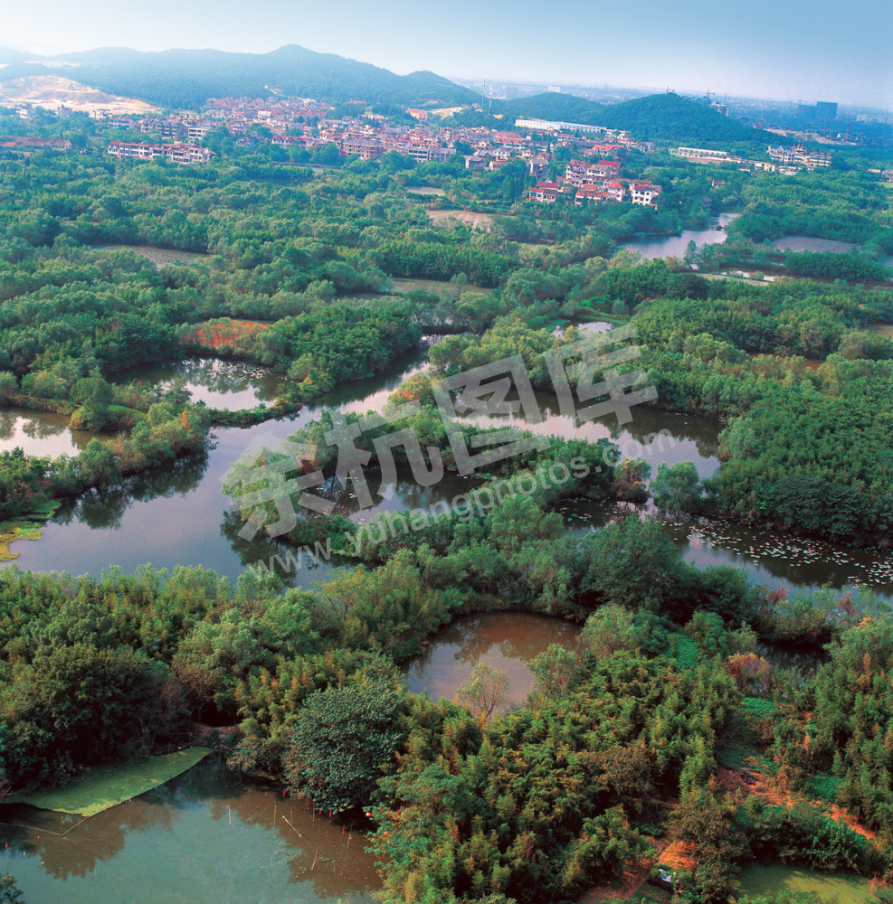 西溪湿地全景