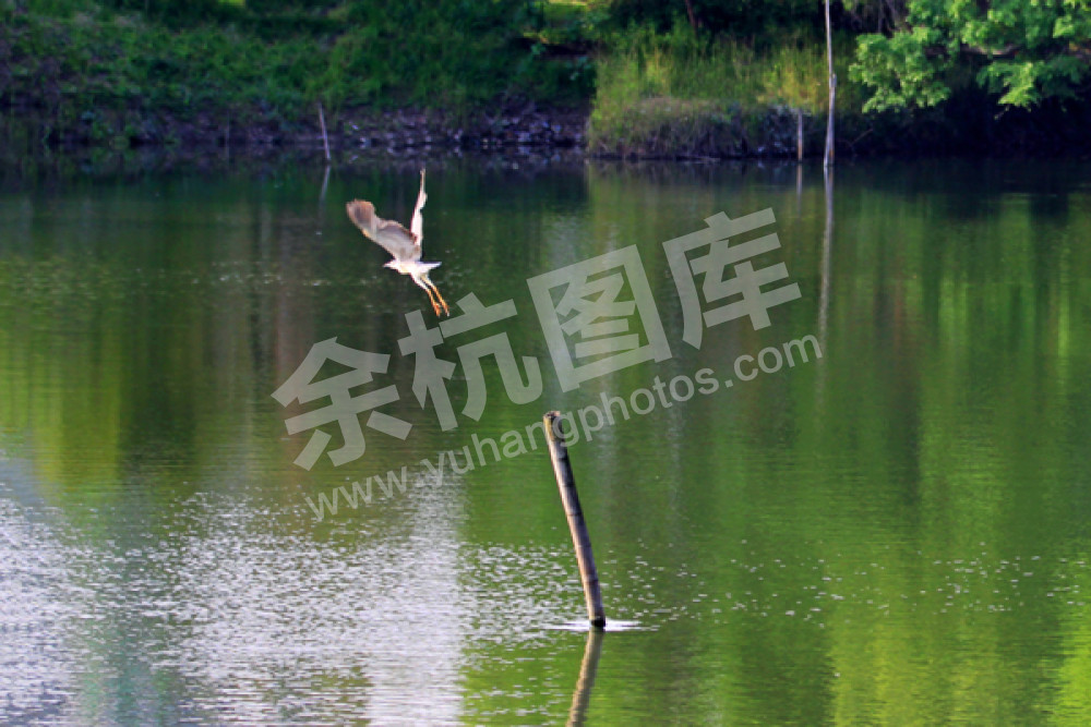 水清岸绿好家园