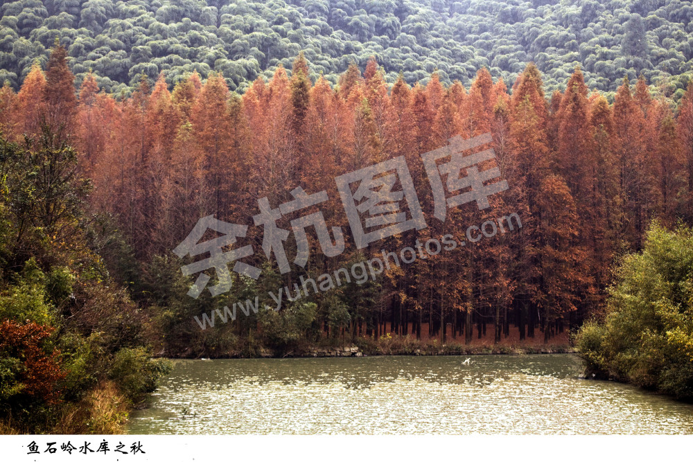 水库秋色