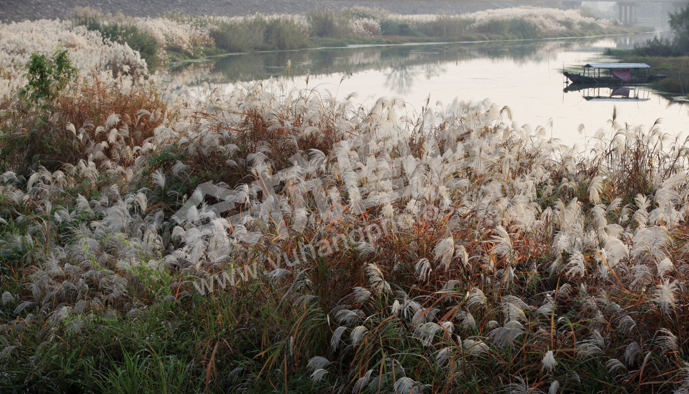 苕溪风光 瓶窑段 