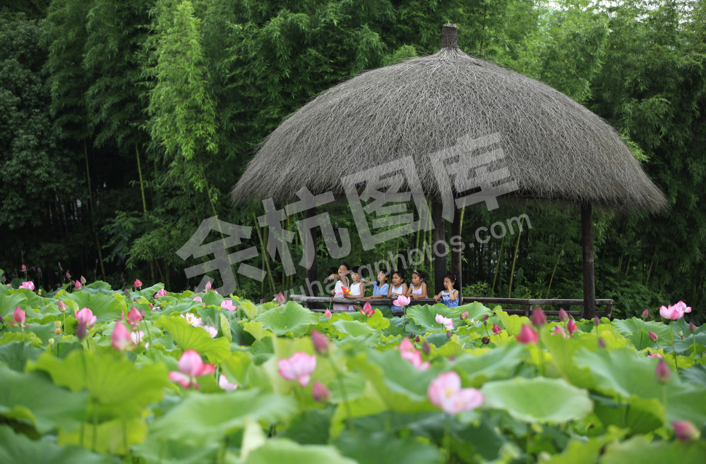 小古城村 开心农场