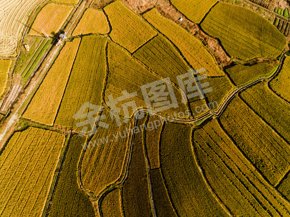 《用镜头写一首秋天的诗》