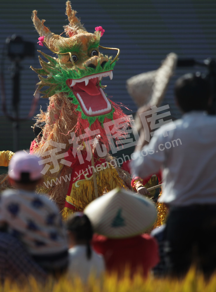 丰收节庆祝活动