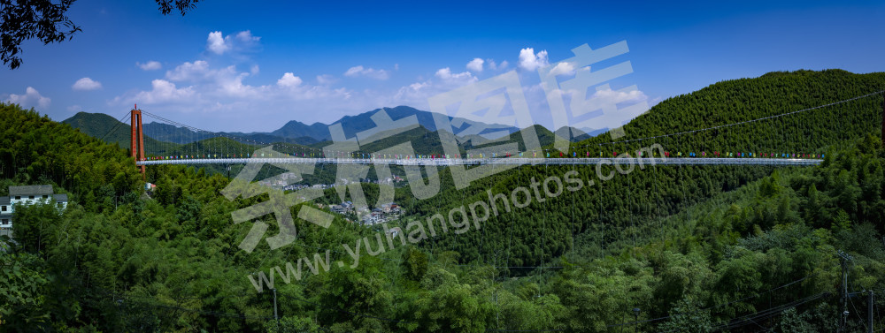 美丽乡村&mdash;&mdash;鸬鸟