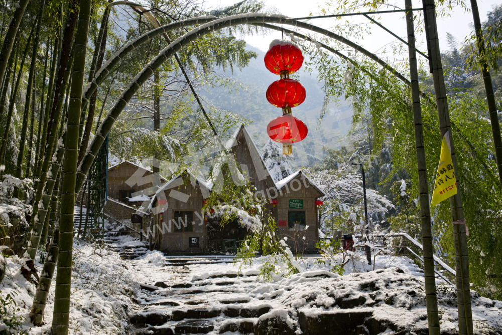 竹林雪景+山沟沟汤坑景区