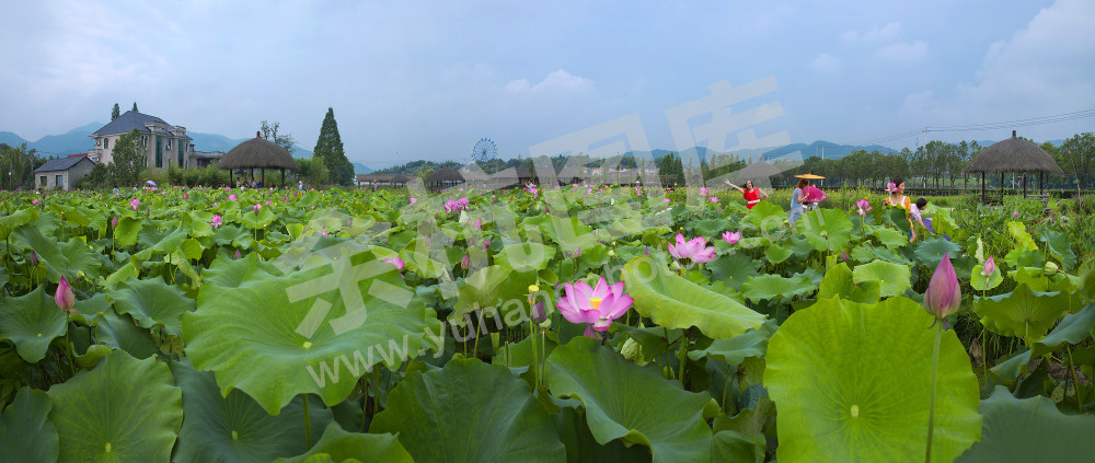 径山小古城慢谷农业园