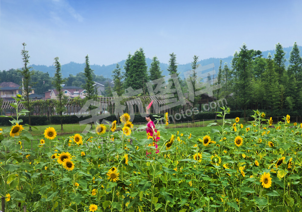 阳光田园+径山小古城慢谷农业园