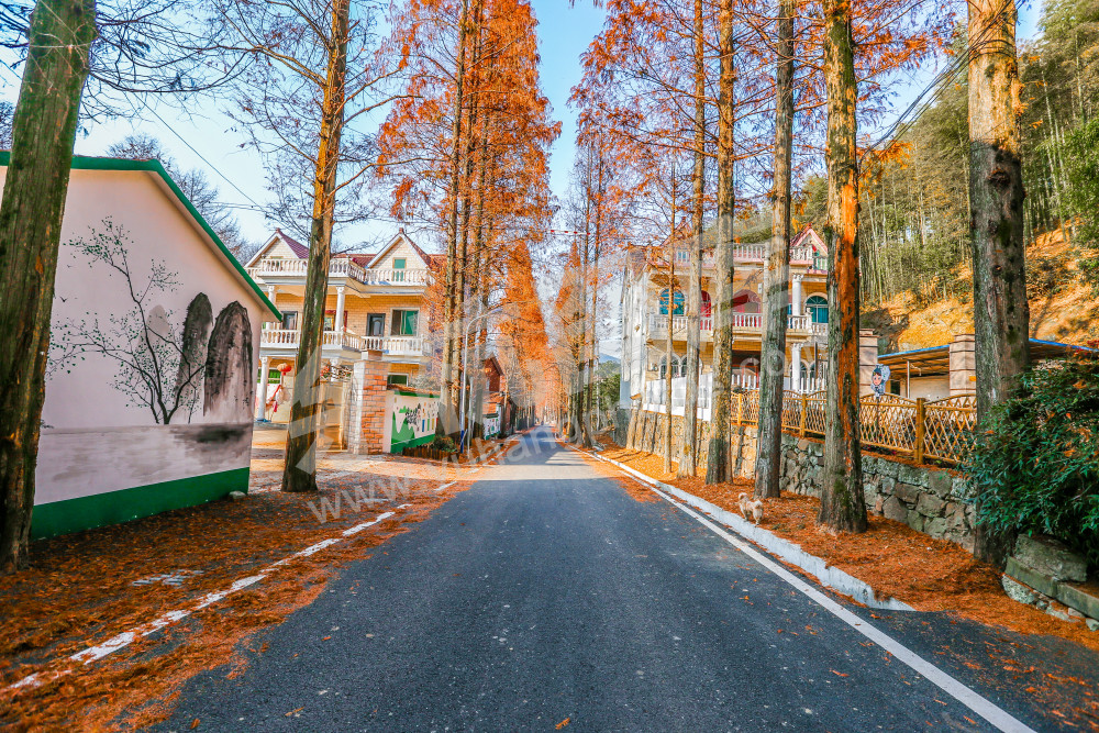 瓶窑镇四好农村路