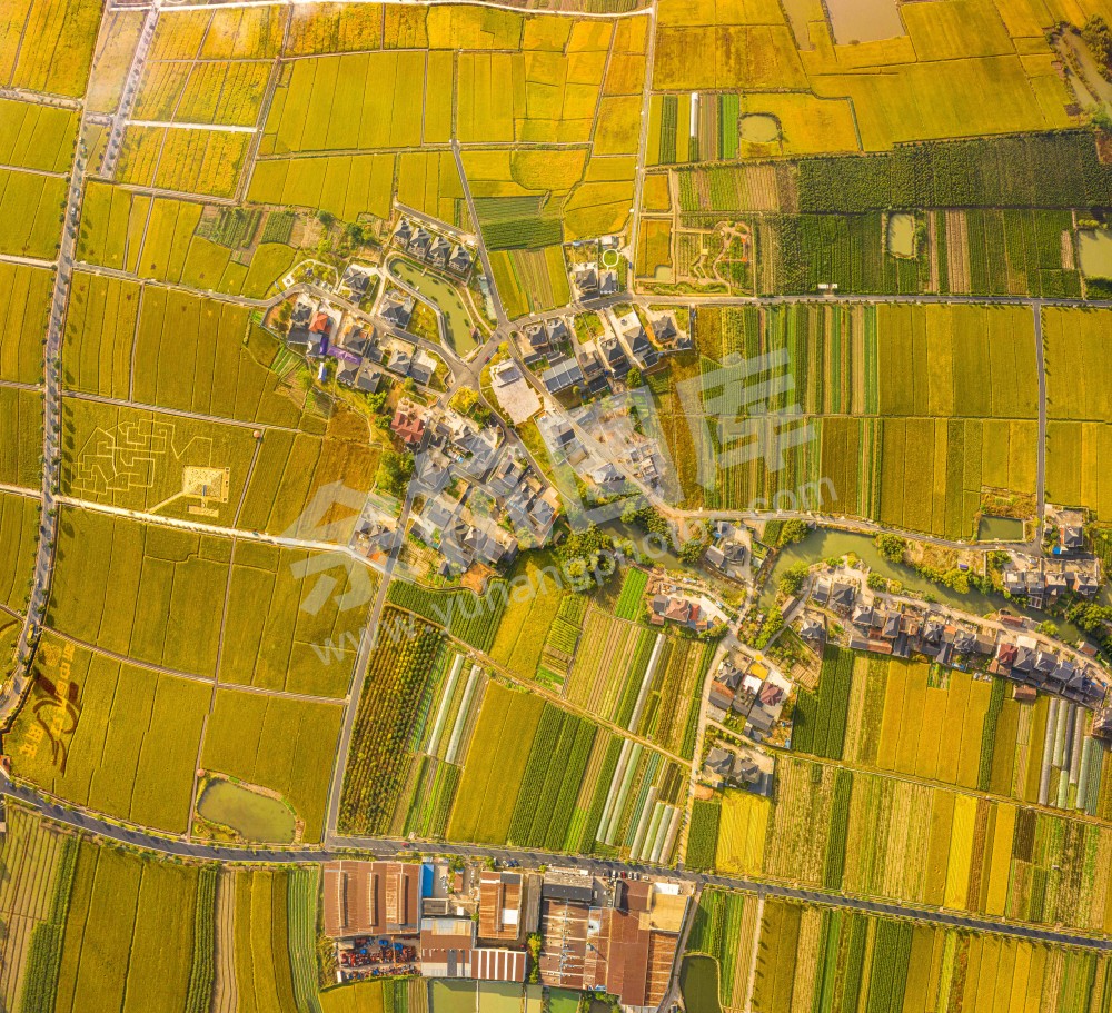 《城靓村美&mdash;&mdash;稻香小镇 余杭街道永安村》