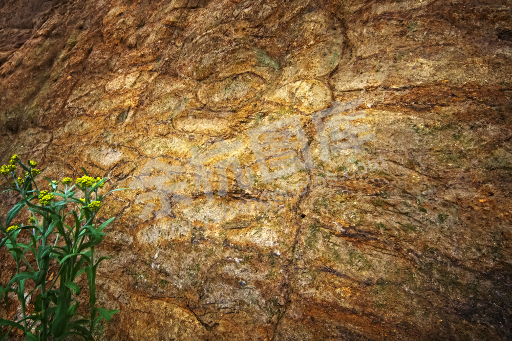 草裹泥水坝遗迹