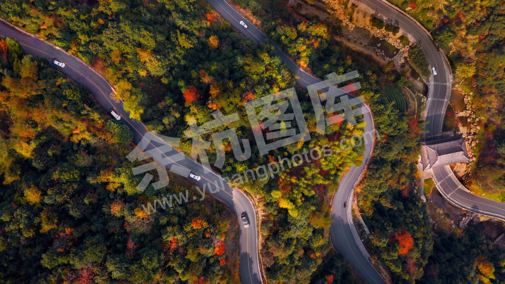 《美丽公路》长径线