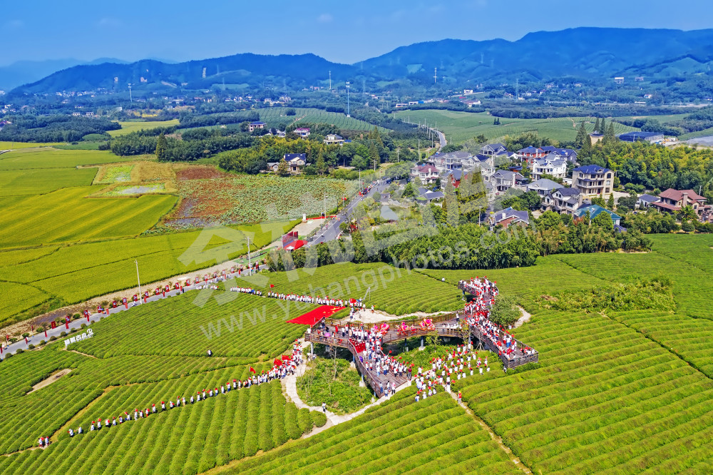田园