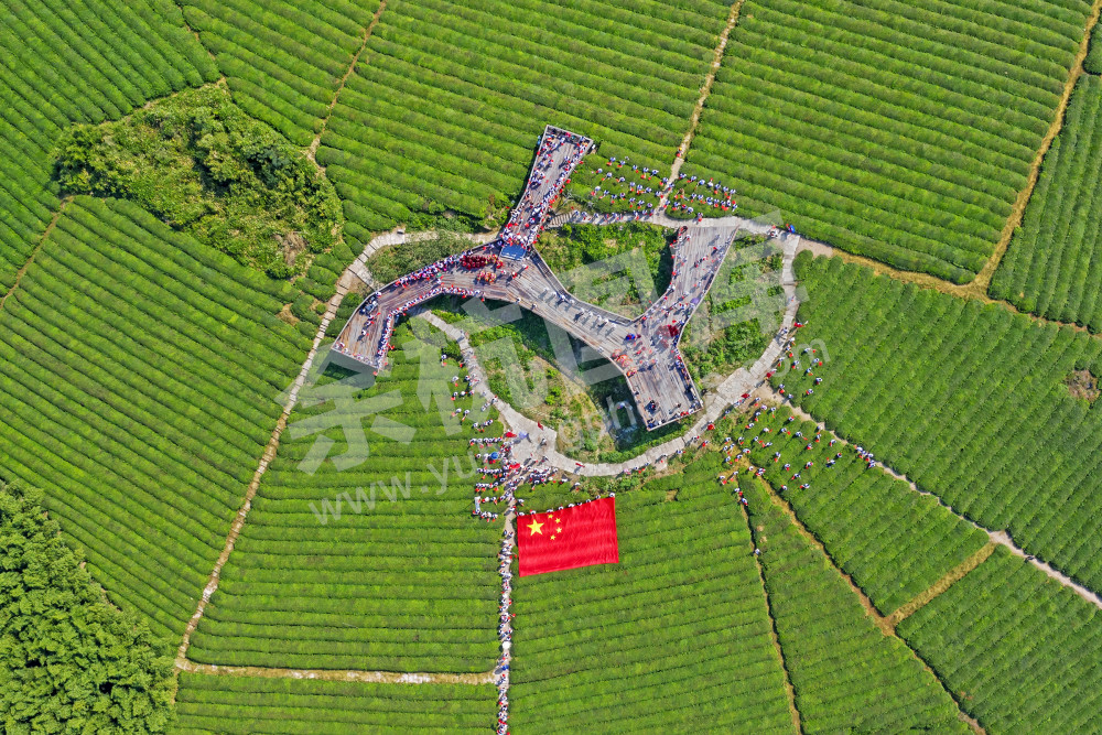 田园