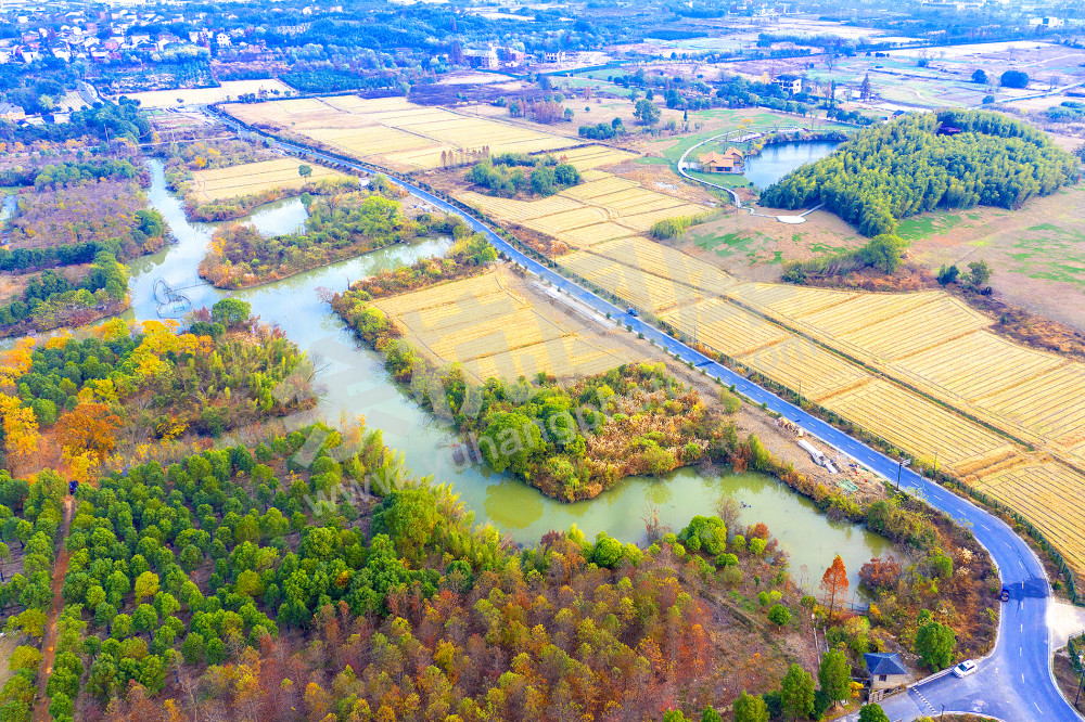《良渚国家考古遗址公园》 