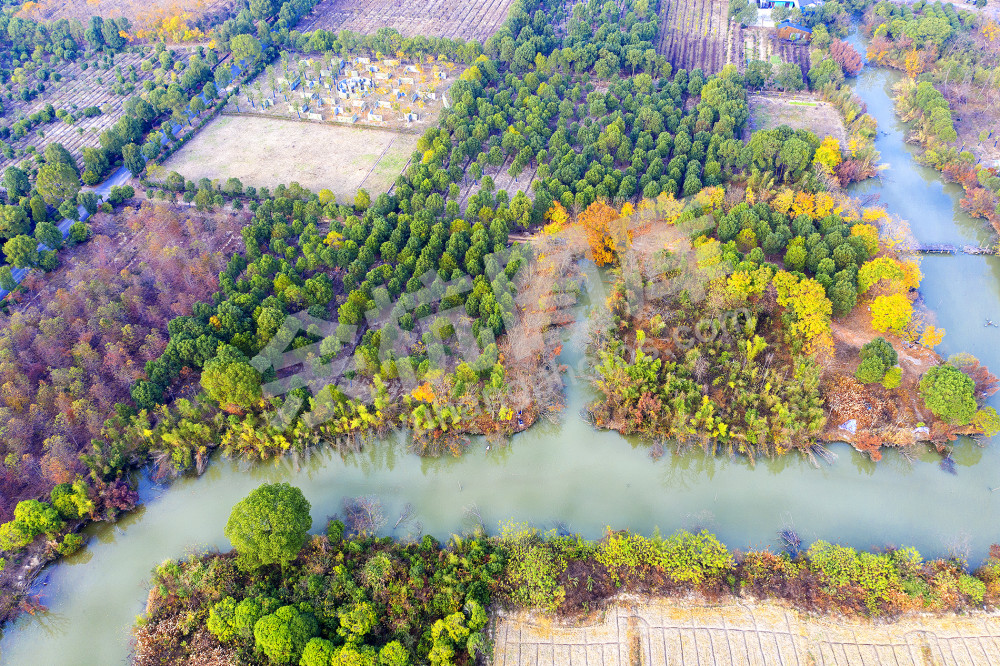 《良渚国家考古遗址公园》
