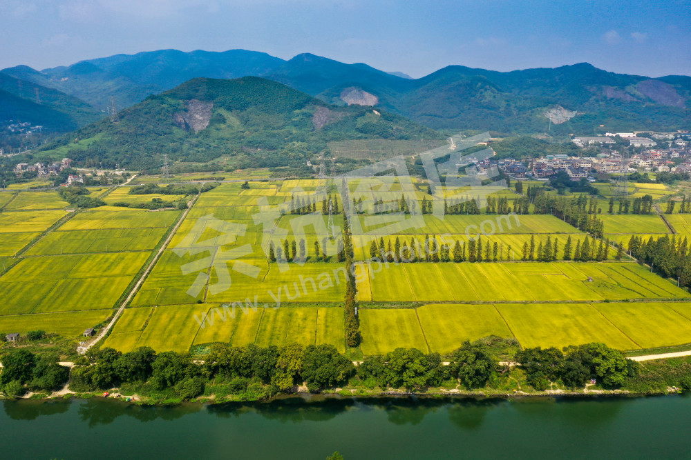 青山绿水入画来