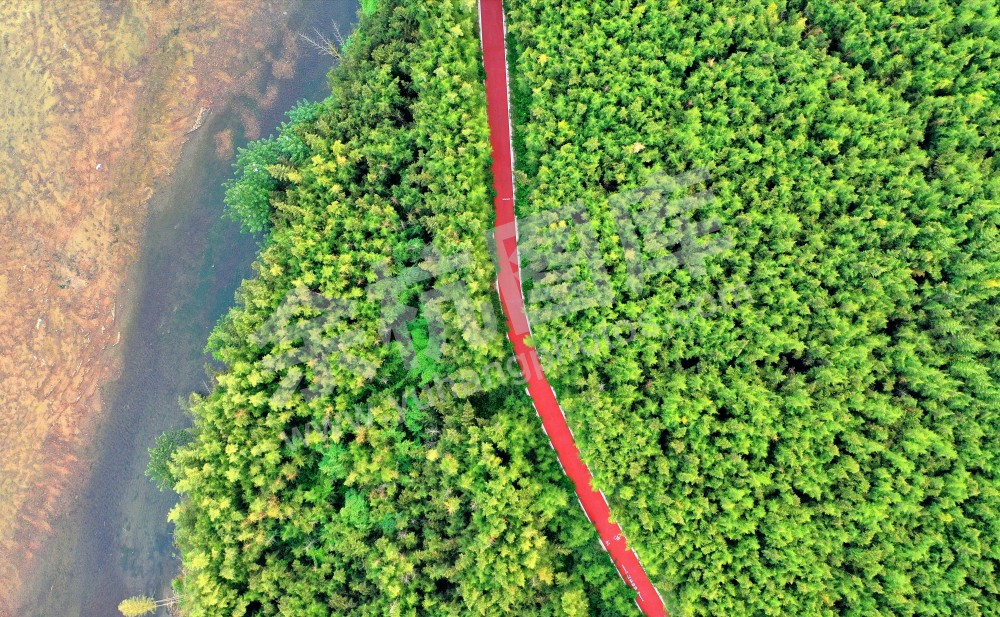 美丽乡村1510大径山绿道项目