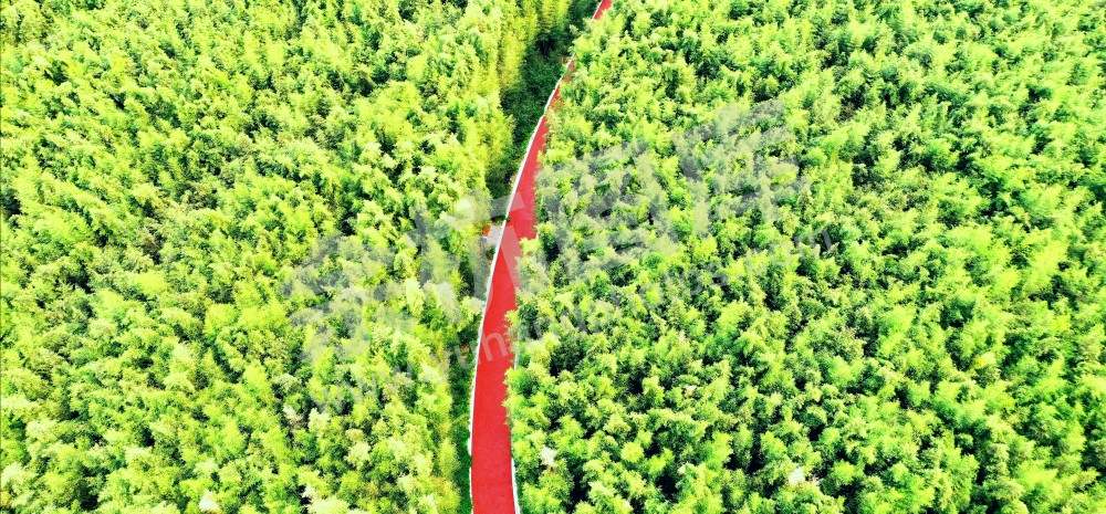 美丽乡村1510大径山绿道项目