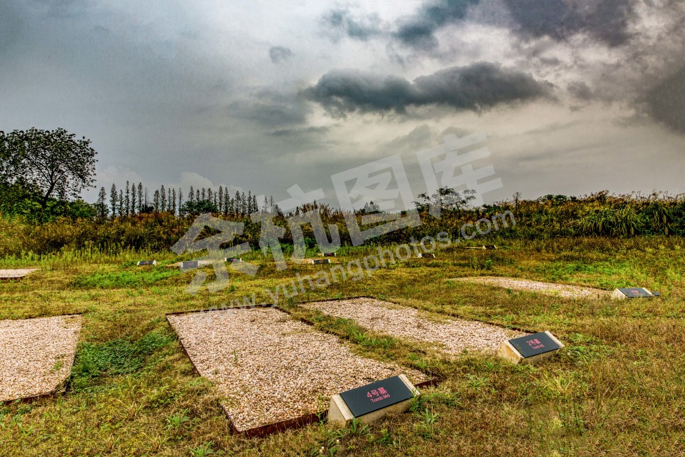 《走进&ldquo;良渚古国&rdquo;》